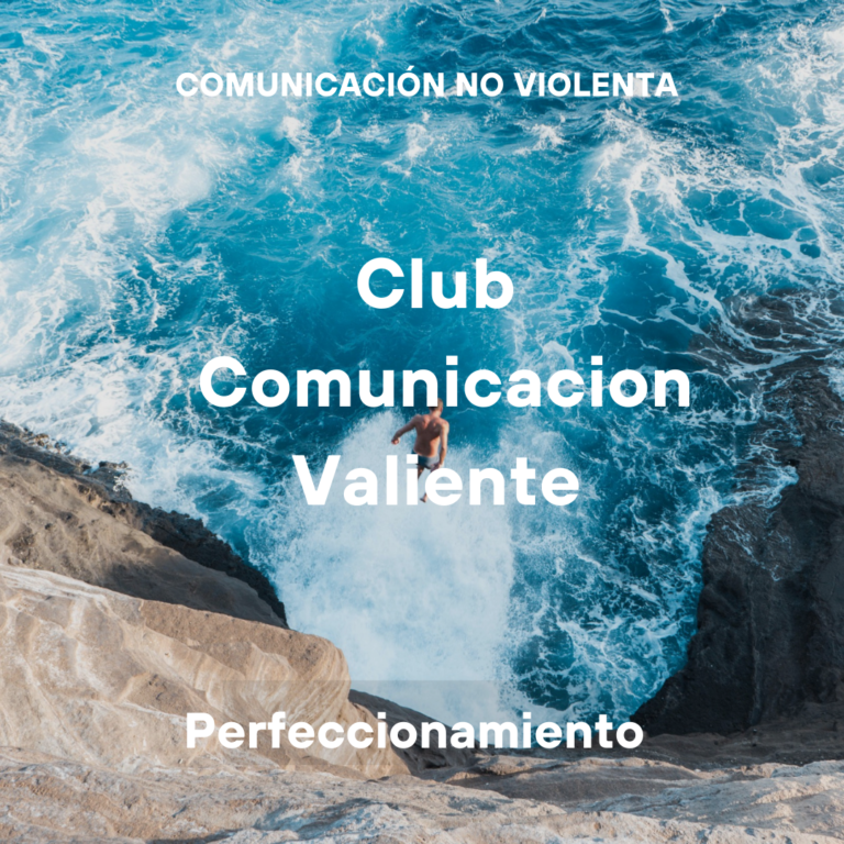 Profundización CNV