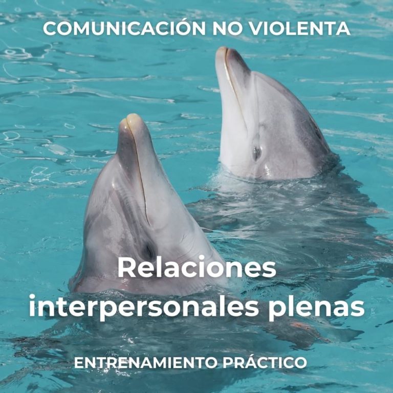 Iniciación CNV